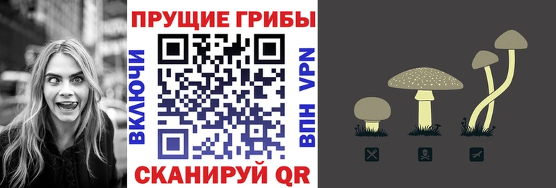 Купить Дивногорск Галлюциногенные грибы мицелий